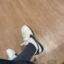 7233 | 나이키 코르테즈 텍스타일 구아바 아이스 세일 후기 (HJ7233-838)