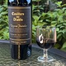 프리바다 | GS25 편의점 와인 디아블로 리제르바 프리바다 카베르네 소비뇽 가성비 칠레 와인 후기