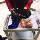 돌고래회수산 이미지