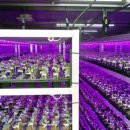 청아영농법인 이미지