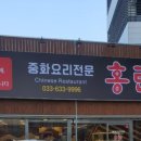 홍란속초점