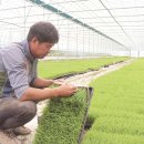 꿩먹고알먹고 이미지