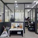냥냥 | 인천 부평 고양이 목욕 미용 냥냥 내돈내산