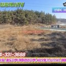 영천남부공인중개사사무소 이미지