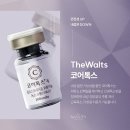 더왈츠 이미지