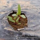 청영 농장 이미지