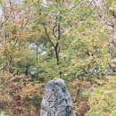 (주)청송 - 195 | (주)청송