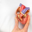 보강병원 이미지