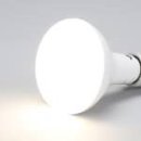 라이트팜 이미지