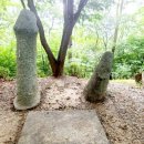 봉서산약수 이미지