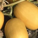 창원농장2 이미지