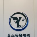 유스동물병원 이미지