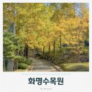 부산 단풍 명소 화명수목원 주차장 단풍현황 방문후기