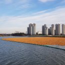 광영축산 이미지