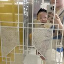 미즈피아병원 이미지