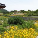 낭도해수욕장 이미지