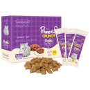 CY요셉트레이딩 이미지