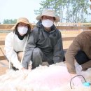 시원농원 이미지