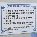 포항세꼬시