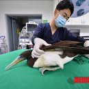 제주야생동물구조센터 이미지