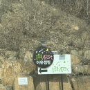 영천유치원 | 대구근교 키즈캠핑장 추천 영천 이유캠핑장 후기 | 6세 아이들과 보물찾기까지 대성공 캠핑