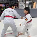 타이거즈태권도 이미지