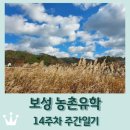 강진군칠량보건지소 | 보성 농촌유학 14주차 / 한주 잘 보냈는데, 주말에 딸 독감 확진 ㅠㅠ
