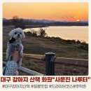 행복 나루터1 이미지