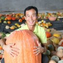 용덕농장 Daum카페