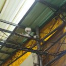 한국한우 이미지