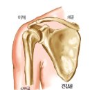 더 NEW 패밀리파크 휘트니스 네이버블로그