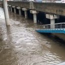 도림천 산책로3 이미지