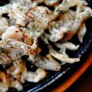 송정상회 이미지