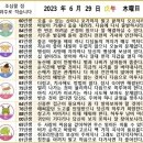 2023년 6월 29일 운세 및 세상 소식 이미지