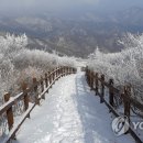 태백산주유소