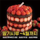 대전 성심당 딸기시루 케익 4월 까지 판매 예정 이미지