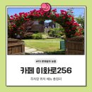 이화로 | 카페 이화로256 평택 애견동반 브런치 맛집 가볼만한곳