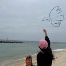 서정온천오토캠핑장 | [경북울진캠핑장추천] 바다와 함께 구산해수욕장에서 캠핑, 온천까지 즐기고온 후기 : 구산오토캠핑장