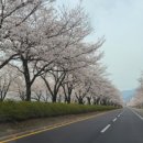 황매산문워크카라반캠핑 이미지