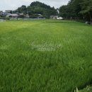 돈탁마을입구 이미지