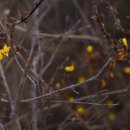 동해파크 이미지