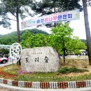 토리숲 주차장 이미지