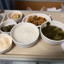 내 인생 첫 수술 자궁내막증 후기3(민트병원 입원)