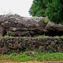 색달동지석묘 1호 이미지