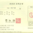 진례농협동부지점 Daum카페