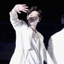 쌀강아지 이미지