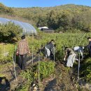 도로줌마을 | 도로줌팜스테이 농촌 봉사활동 이야기 : “함께 흙을 일구는 시간”