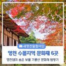 기룡산입구 | 영천댐의 숨은 보물 수몰지역 문화재 6곳 이야기 기룡산 문화재 탐방기