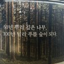 경진의료재단 | [한국고등교육재단] 인재림 제4기 면접 탈락 후기