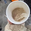 (주)세계로산업 | 2025 대구음식산업박람회·커피&amp;카페 페스타 엑스코 방문 후기 냠